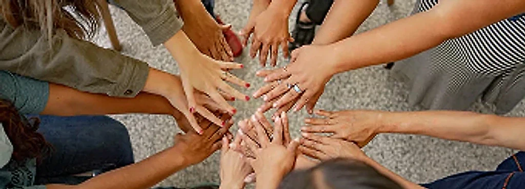 Team Effectiveness Programme